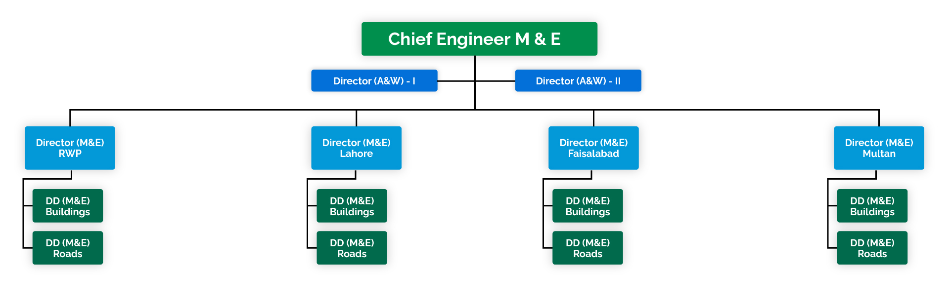 Punjab Monitoring & Evaluation Department Organogram