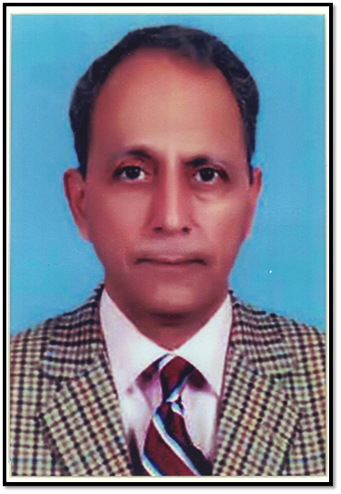 Sibtain Fazal E Halim